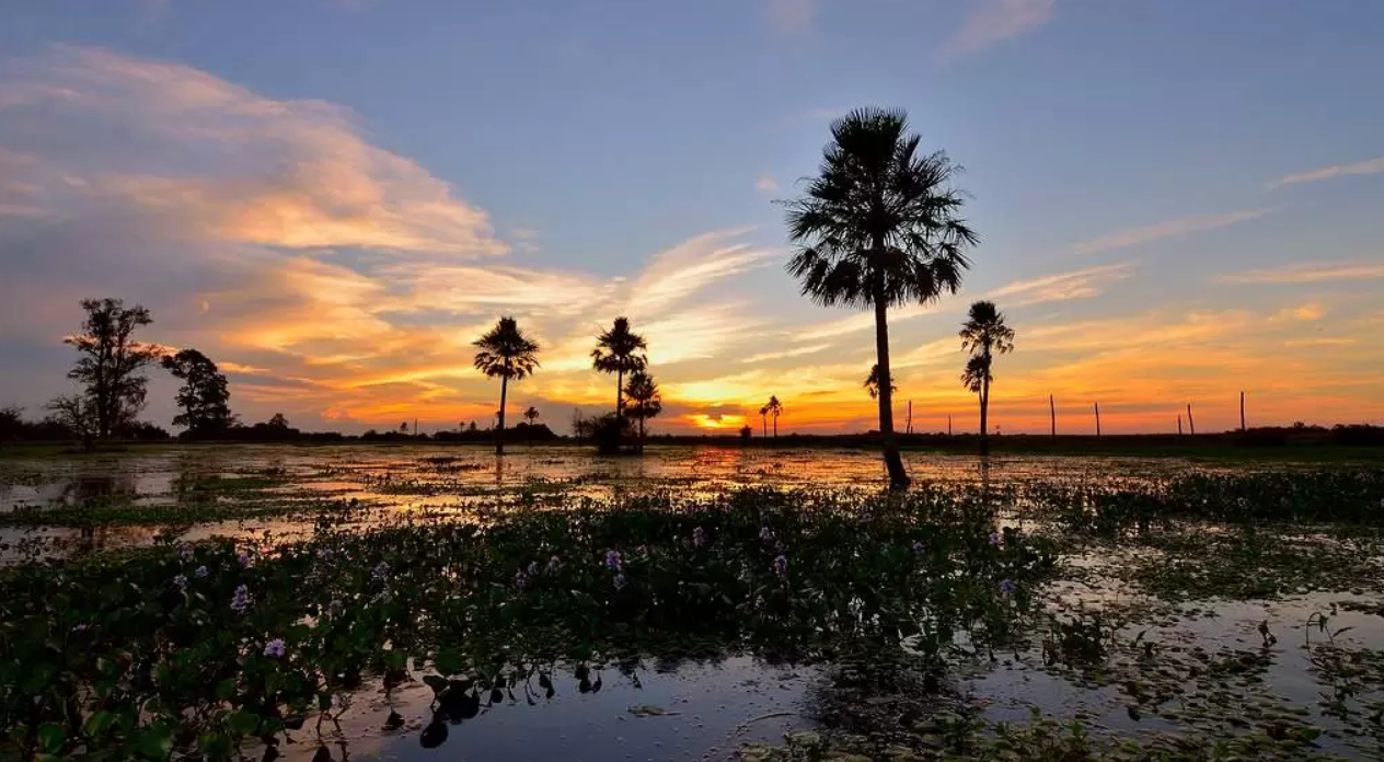 Esteros del Iberá: el rincón natural de Corrientes que fascina al mundo y aún es poco explorado por turistas argentinos