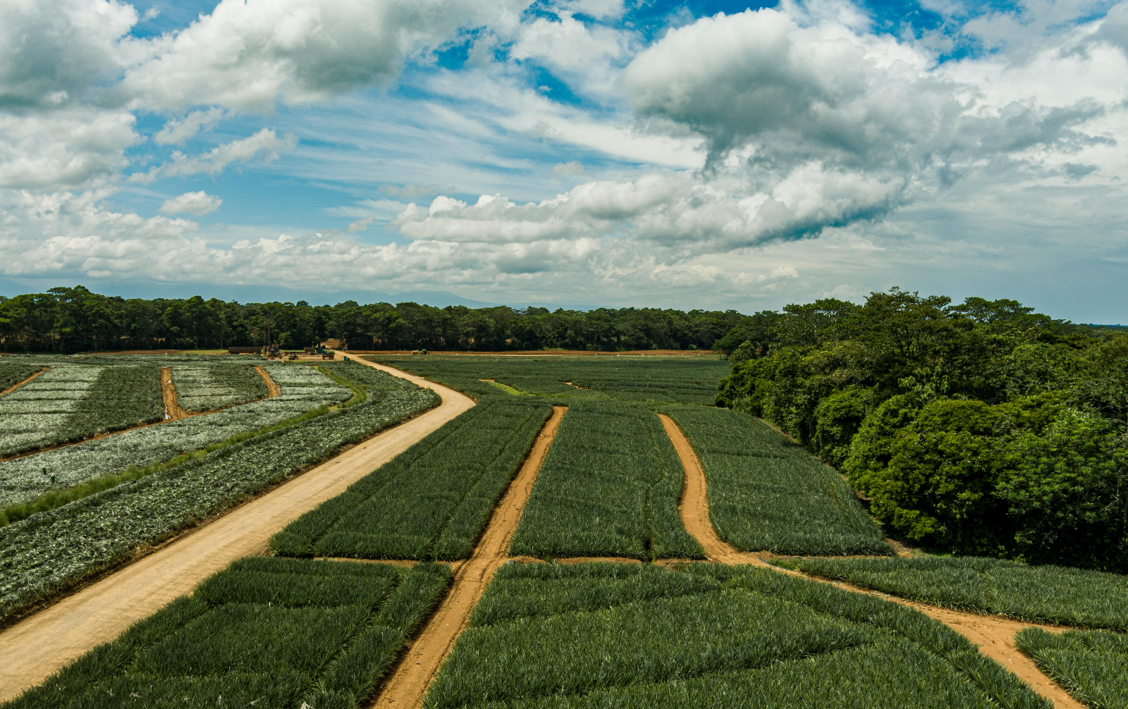 La Provincia ofrece nuevos créditos para fortalecer la producción frutícola
