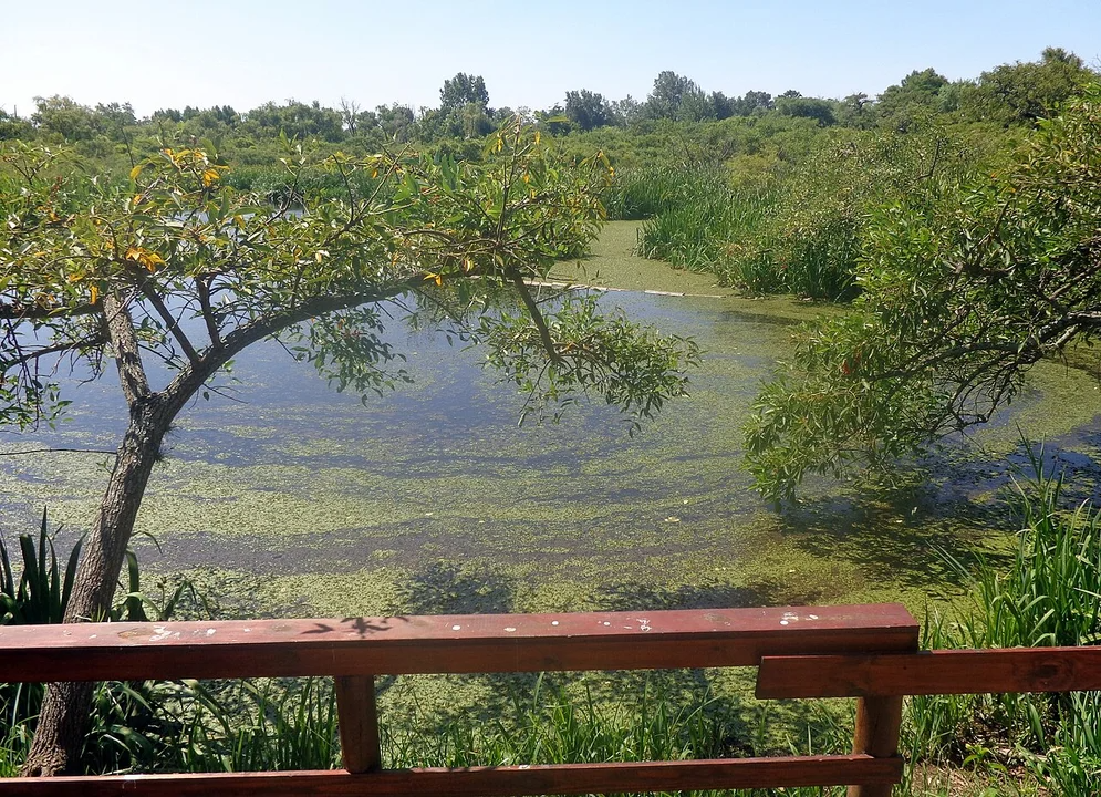 San Isidro sorprende: un refugio natural y urbano a minutos de Buenos Aires
