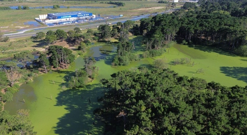 Nuevamente hubo desborde de efluentes cloacales de Pinamar hacia Madariaga