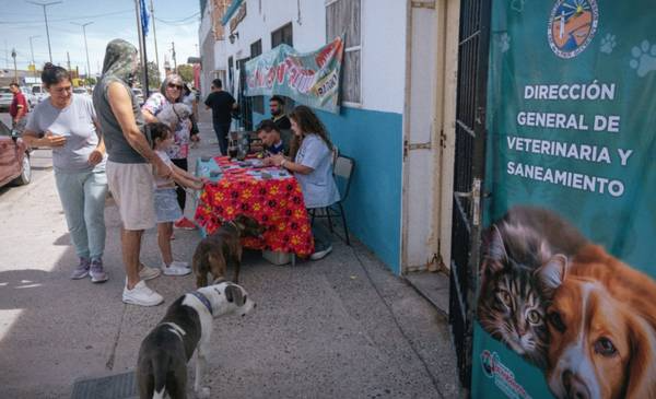 Castración y vacunación antirrábica en Rawson: operativo gratuito en barrio 490 Viviendas