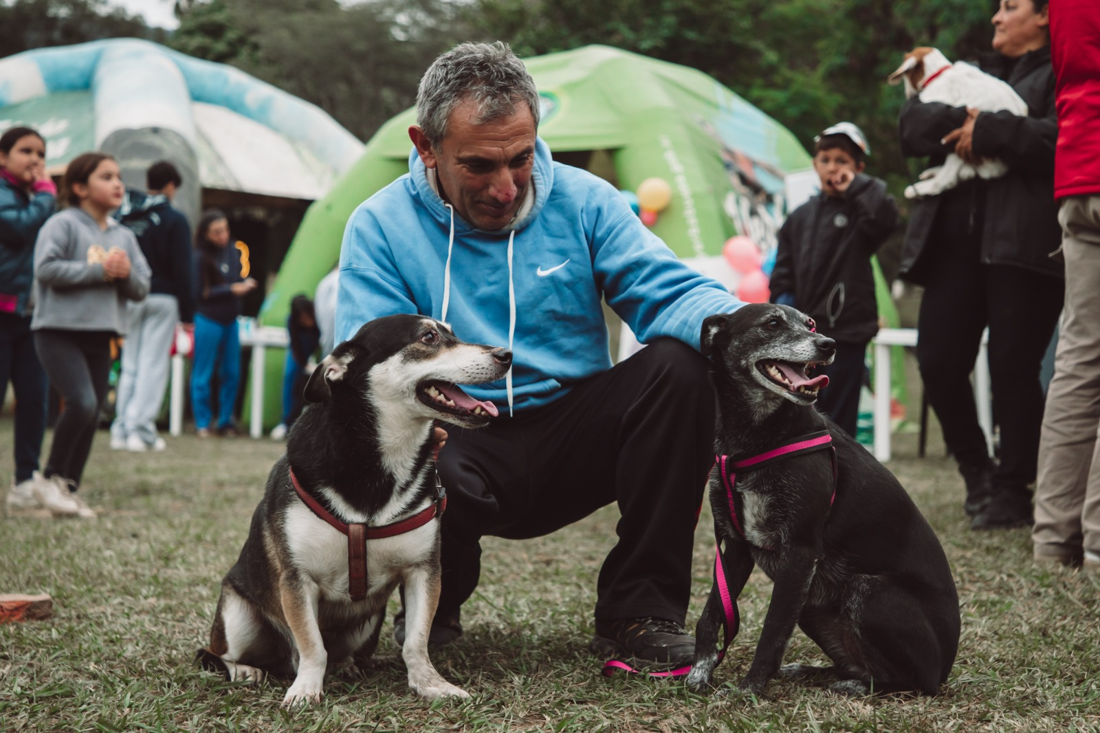 El Tráiler Veterinario llega a la Casa de la Cultura con servicios gratuitos para mascotas