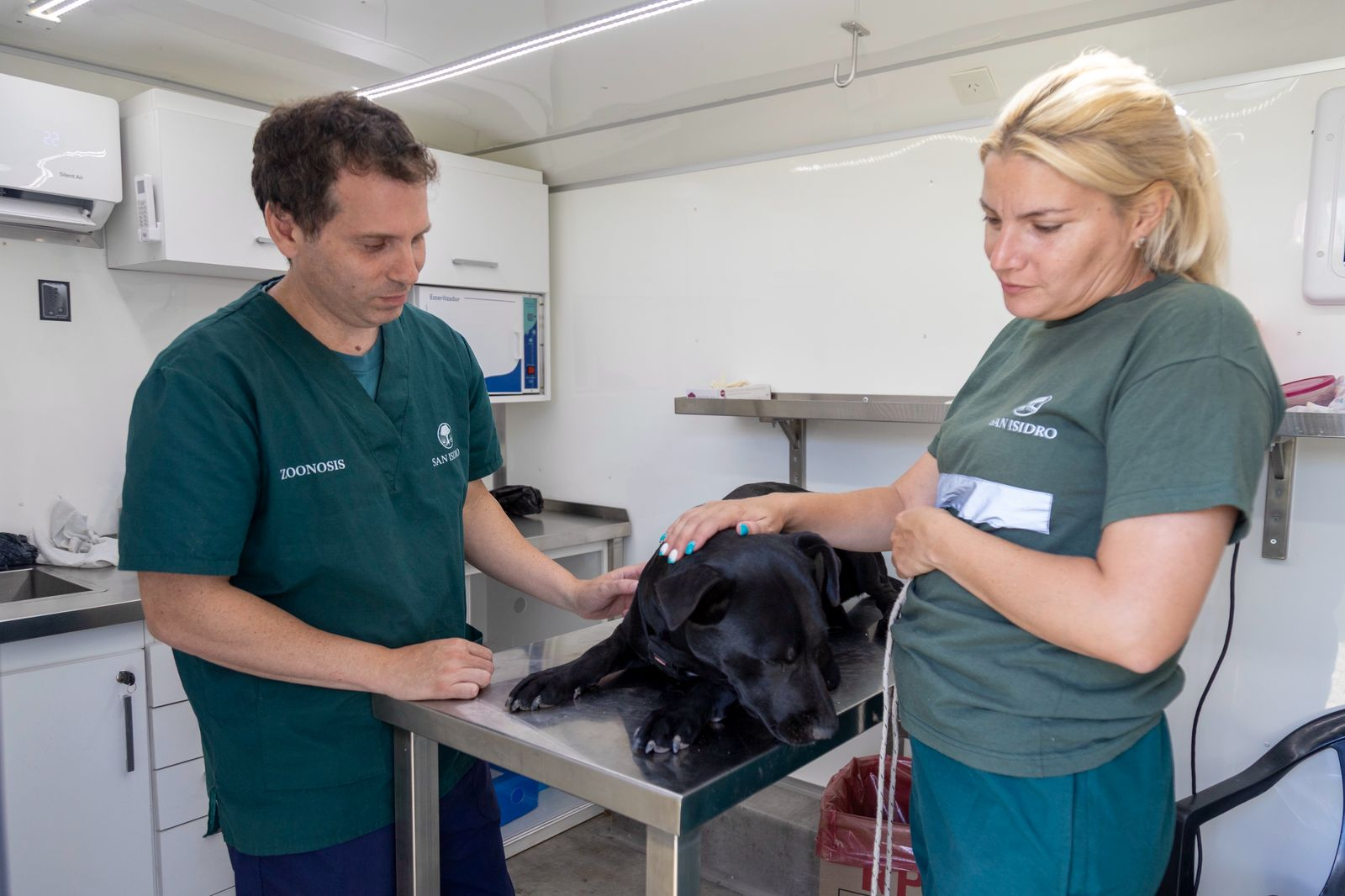 Aumentaron 17% las castraciones y 15% las vacunaciones en San Isidro
