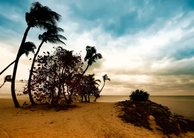 Miami y Key West encabezan la lista de ciudades más vulnerables a huracanes en Estados Unidos