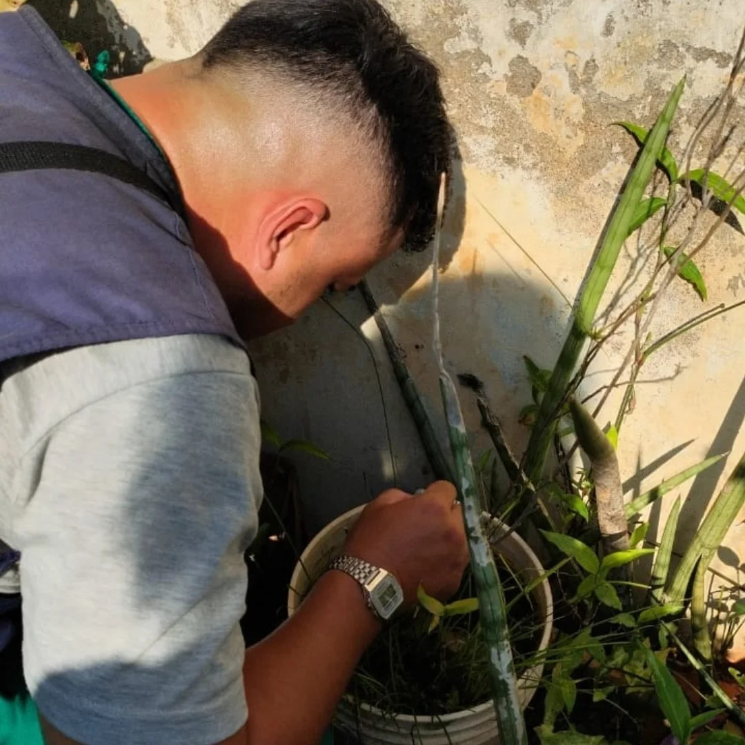 Posadas refuerza operativos contra el dengue: conocé el cronograma de la semana