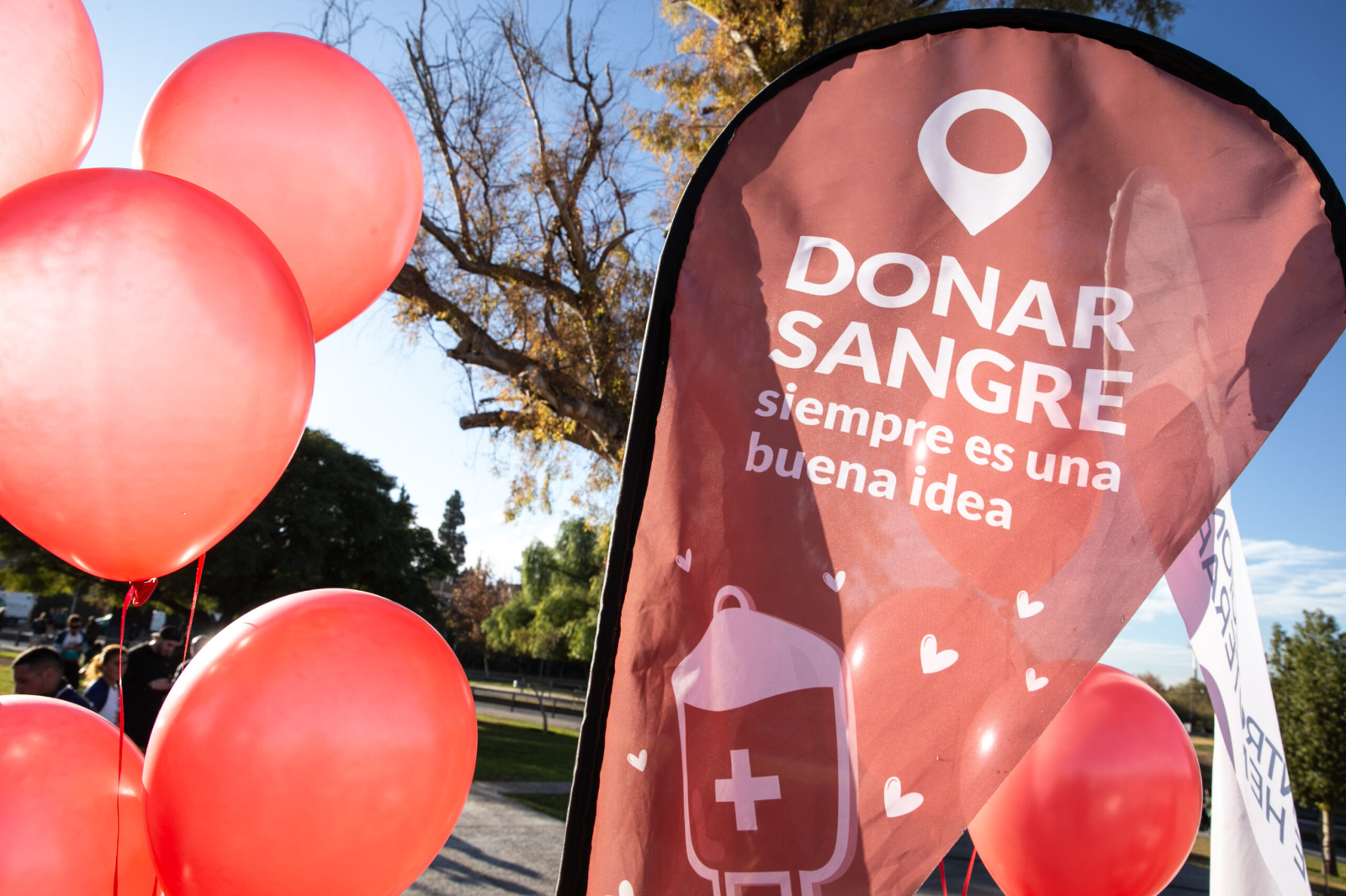 Cortes de tránsito en Ciudad de Mendoza por la maratón "Corre Sangre por tus Venas"