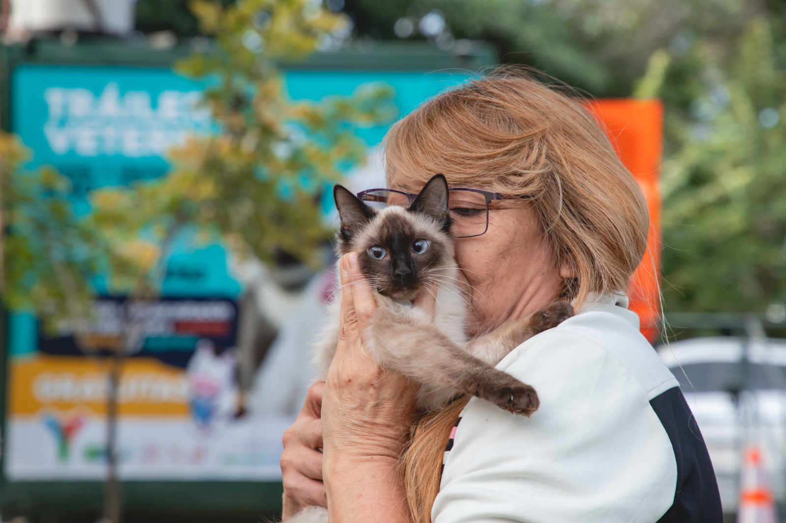 Yerba Buena: el tráiler veterinario brindará atención gratuita para perros y gatos en Plaza Moreno
