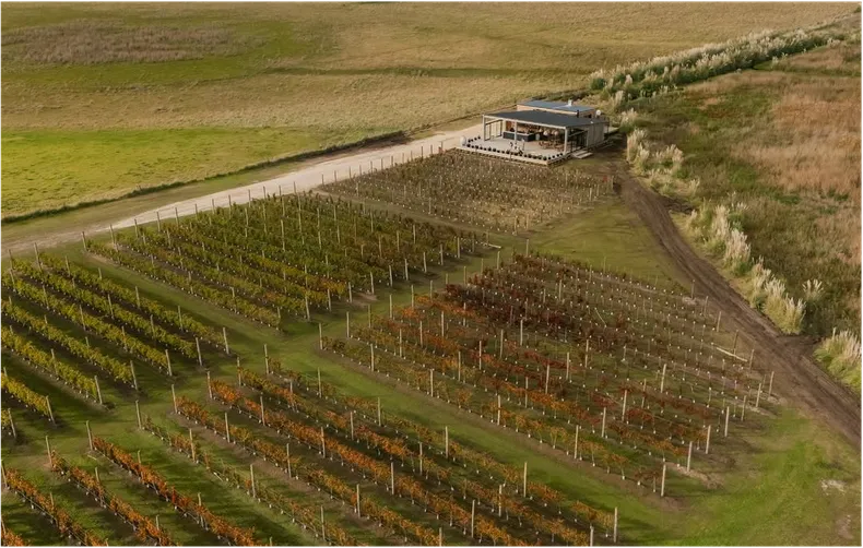 Provincia de Buenos Aires: la bodega de General Madariaga ideal para una escapada de fin de semana