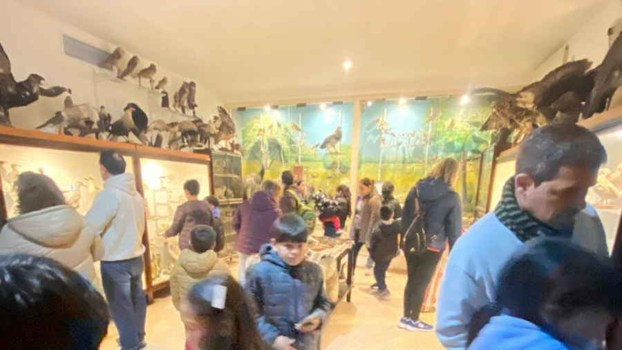 El Museo de Historia Natural de La Pampa suma actividades gratuitas en vacaciones de invierno