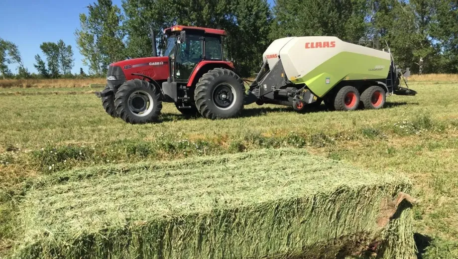 Río Negro fortalece su alianza con AFA para impulsar la expansión de la producción agrícola